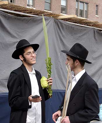 Sukkot